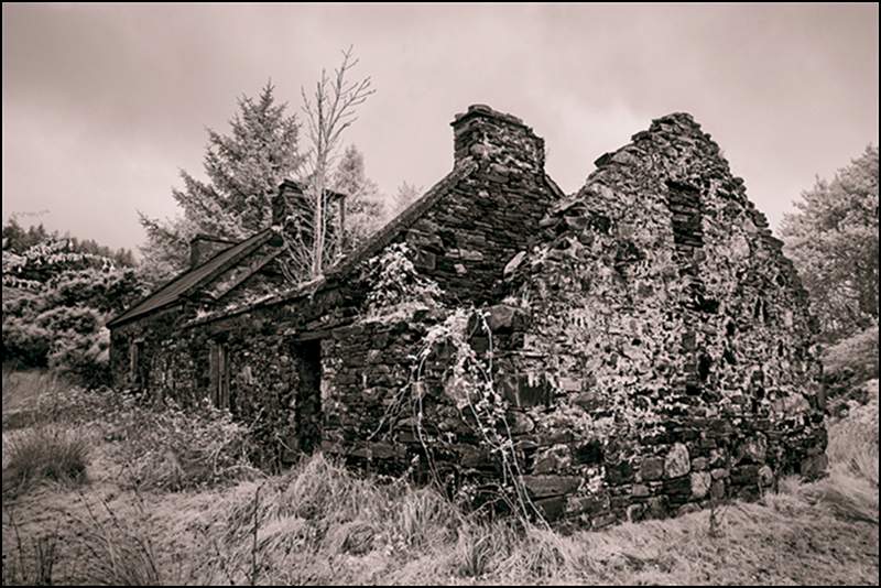 Famine Village Duniewy No 5.tif